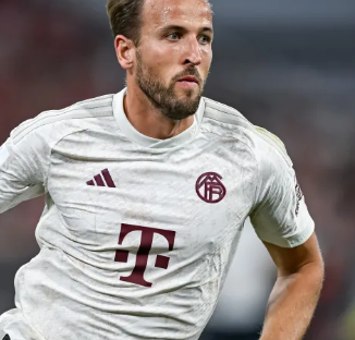 最终力压杜 最终力压杜